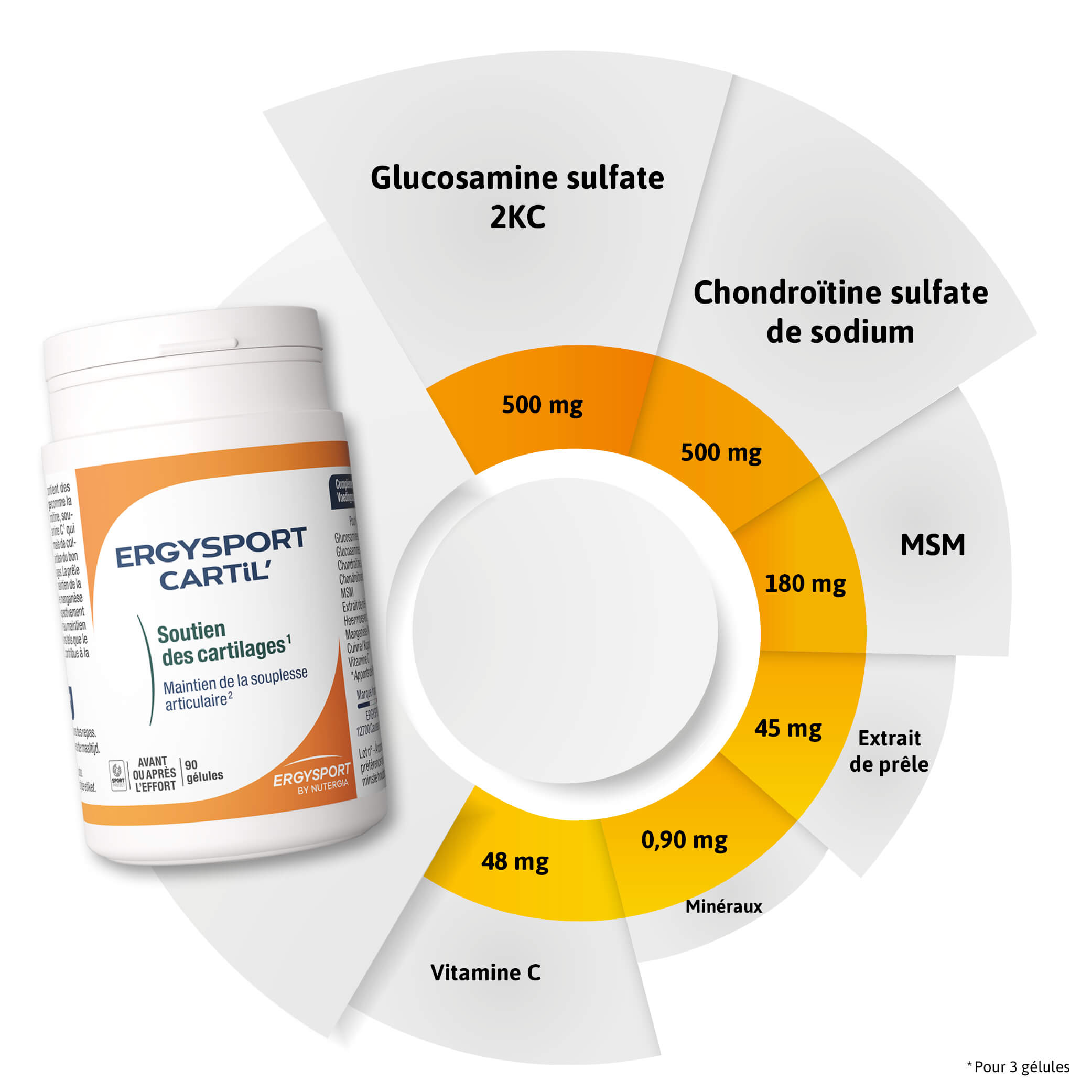Composition ERGYSPORT CARTiL'
