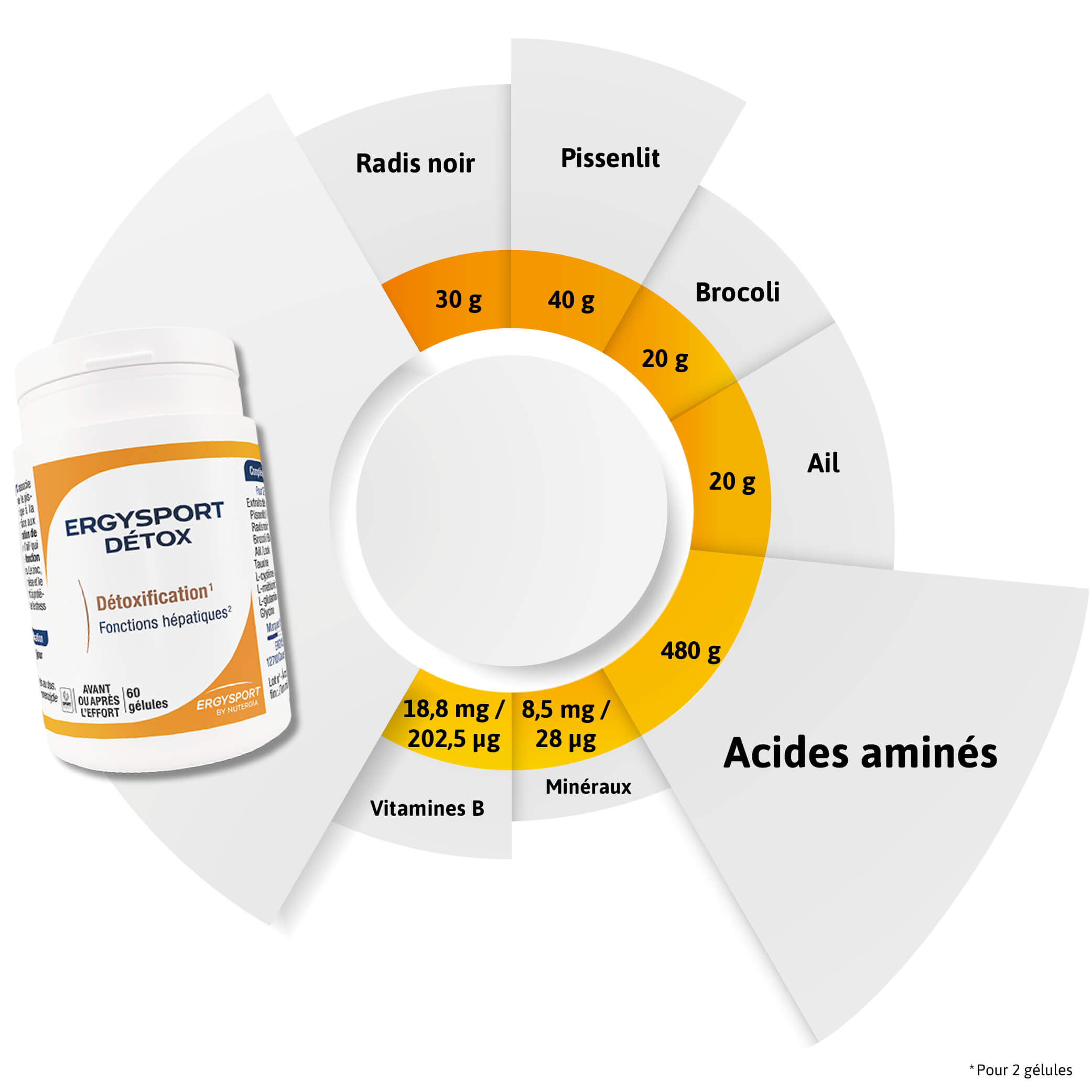 Composition ERGYSPORT DÉTOX