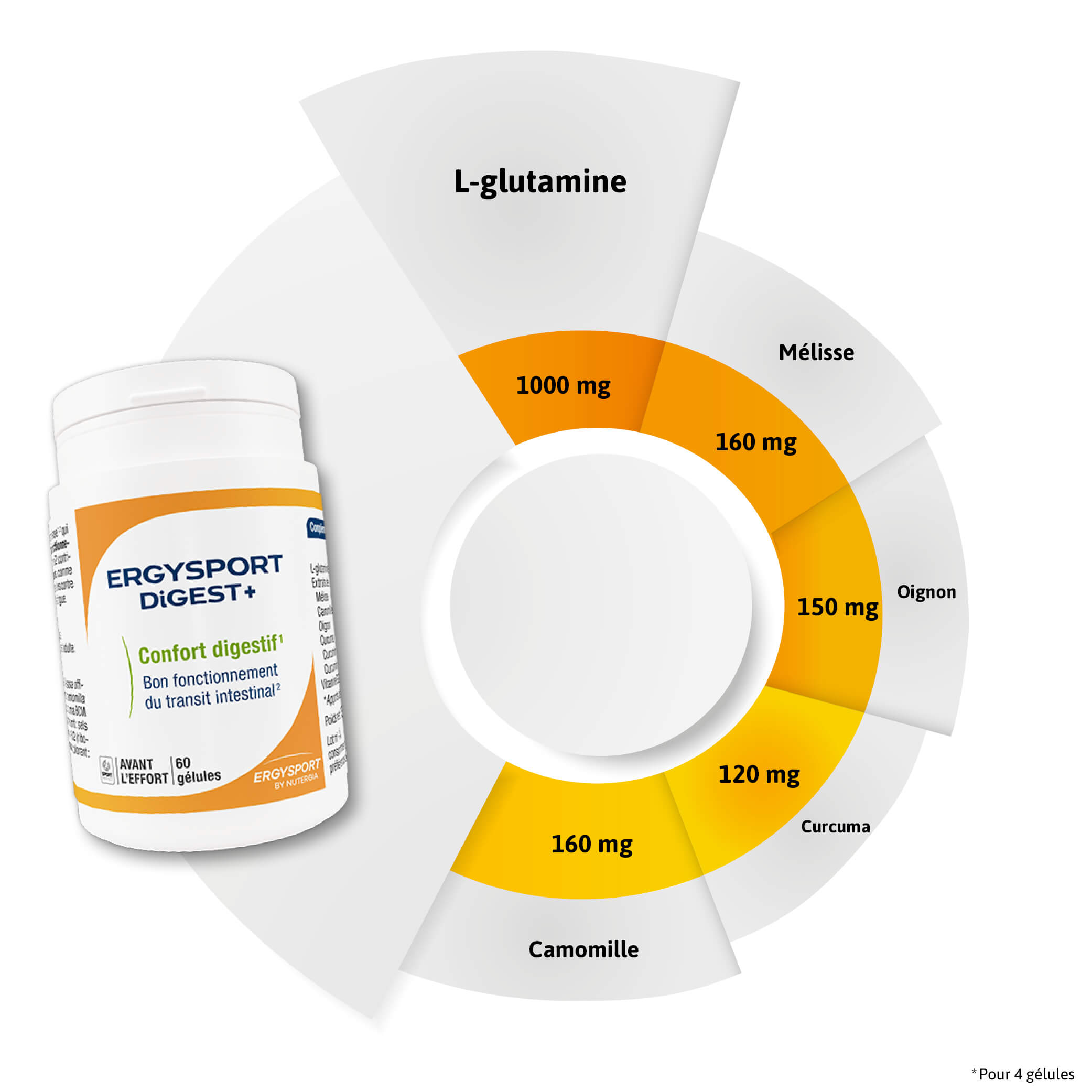 Composition ERGYSPORT DIGEST+