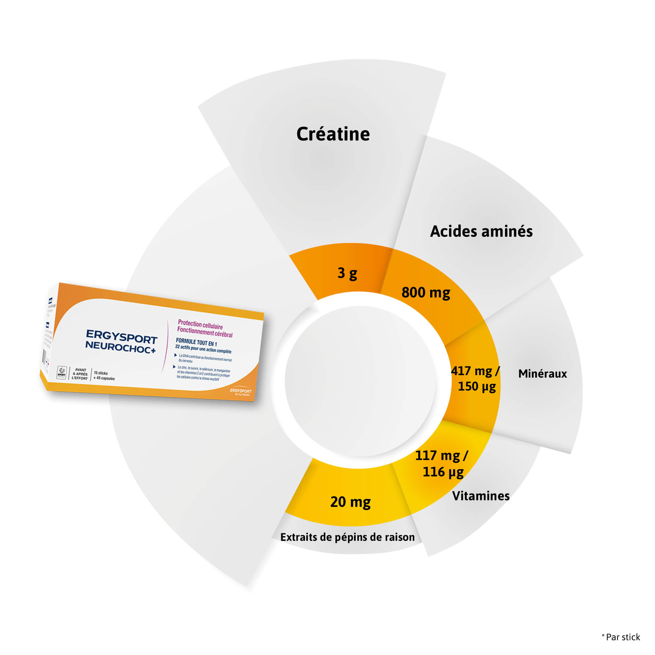Composition ERGYSPORT NEUROCHOC+