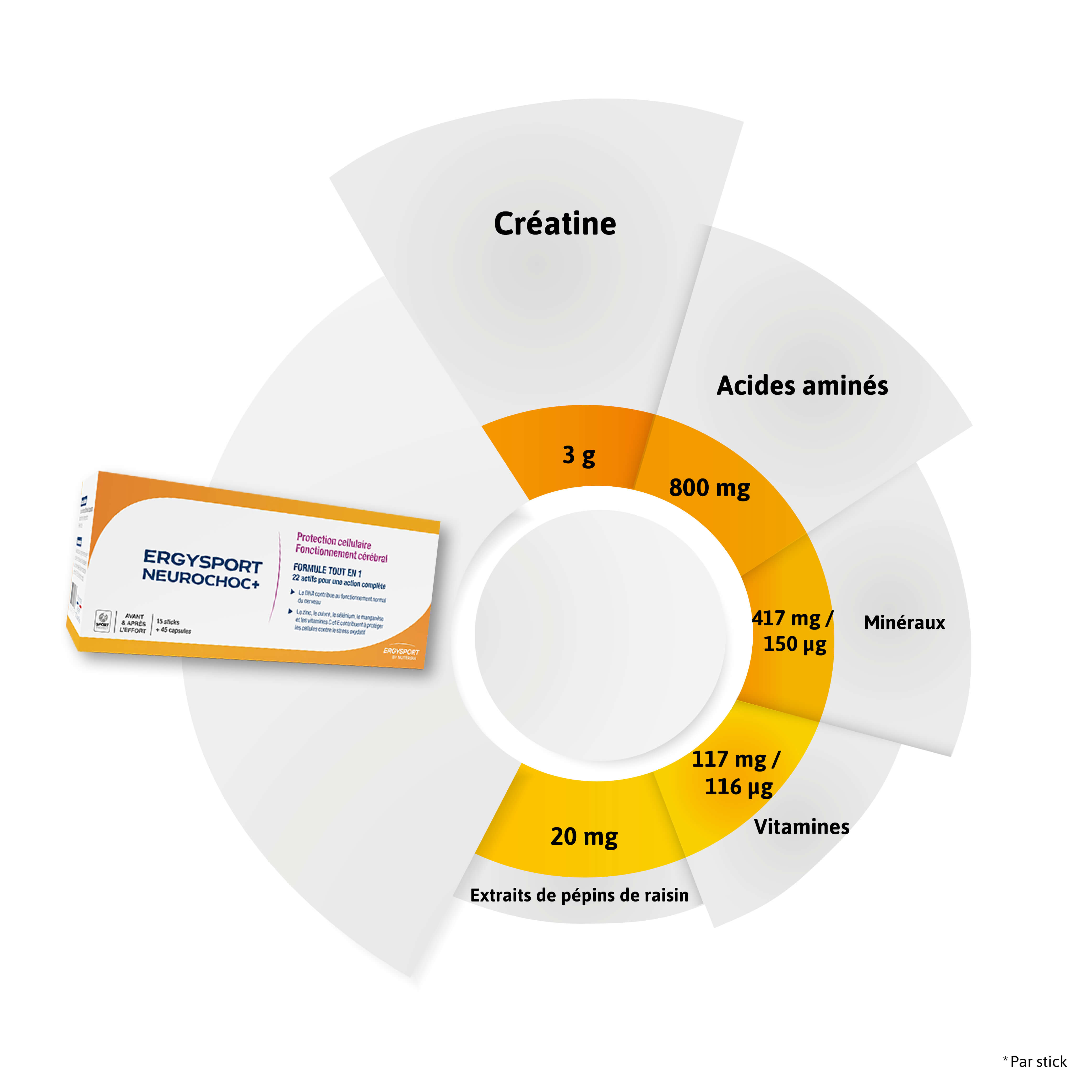 Composition ERGYSPORT NEUROCHOC+